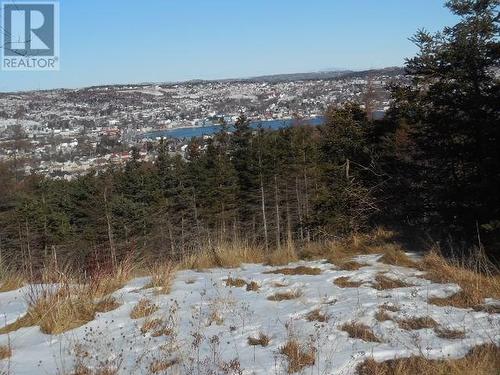 56 Columbus Drive, Carbonear, NL 
