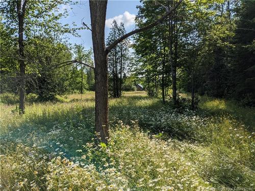 1990 Middle River Dr, Bathurst, NB 