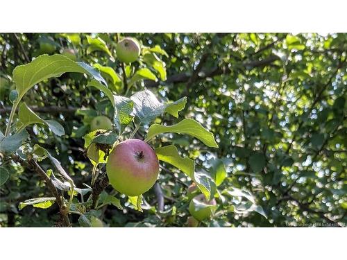 1990 Middle River Dr, Bathurst, NB 