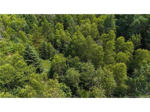 - Route 780, Utopia, NB 