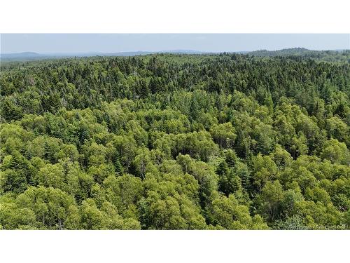 - Route 780, Utopia, NB 