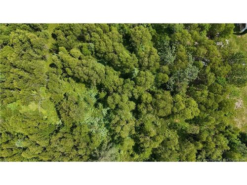 - Route 780, Utopia, NB 