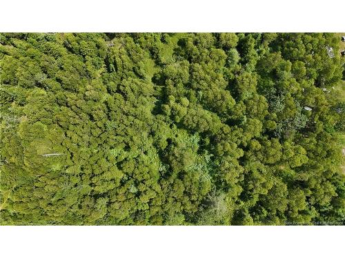 - Route 780, Utopia, NB 