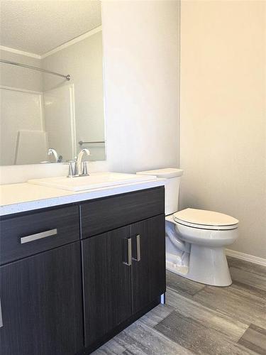 93 Prairie Oak Drive, Mitchell, MB - Indoor Photo Showing Bathroom