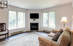 Gas fireplace - 