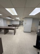 701-440 Boul. De Maisonneuve O.  Montréal (Ville-Marie), QC H3A 0B4