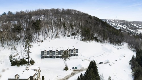 Vue d'ensemble - 703Z Ch. Des Conifères, Piedmont, QC - Outdoor With View