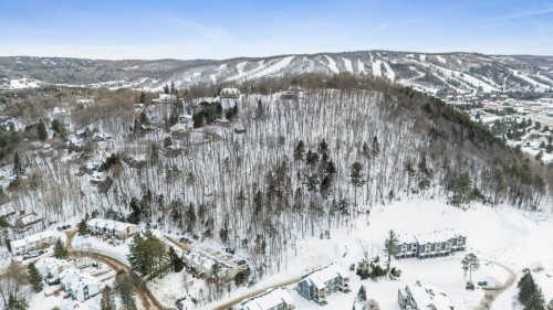 Vue d'ensemble - 703Z Ch. Des Conifères, Piedmont, QC - Outdoor With View