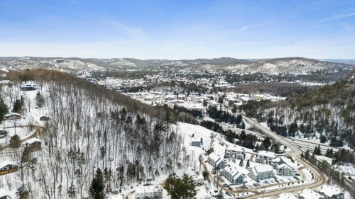 Vue d'ensemble - 703Z Ch. Des Conifères, Piedmont, QC - Outdoor With View