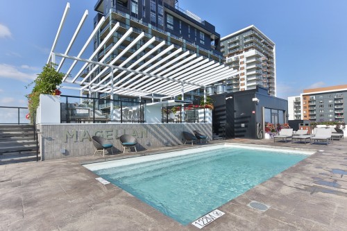 Piscine - 714-700 Rue Des Éclaircies, Brossard, QC - Outdoor With In Ground Pool
