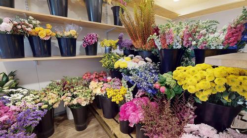 24 10Th Avenue, Cranbrook, BC 