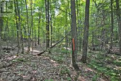 PART 2 - 0 LYNDSEY LANE Mckellar, ON P2A 0B5