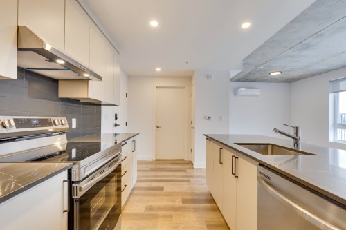 Cuisine - 208-1620 Boul. De La Côte-Vertu, Montréal (Saint-Laurent), QC - Indoor Photo Showing Kitchen With Upgraded Kitchen