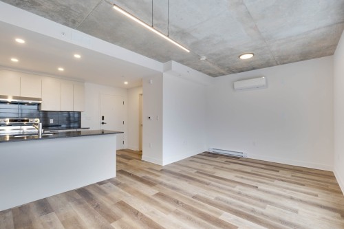 Salle à manger - 208-1620 Boul. De La Côte-Vertu, Montréal (Saint-Laurent), QC - Indoor Photo Showing Kitchen