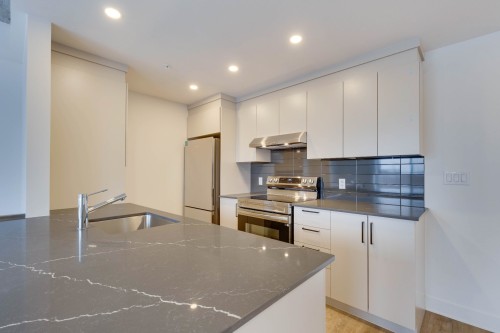 Kitchen - 201-1620 Boul. De La Côte-Vertu, Montréal (Saint-Laurent), QC - Indoor Photo Showing Kitchen