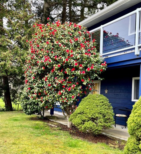 321 Maliview Dr, Salt Spring, BC 