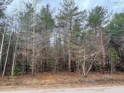 Lot 3 Wanda Lynn Drive Nictaux, NS B0S 1P0