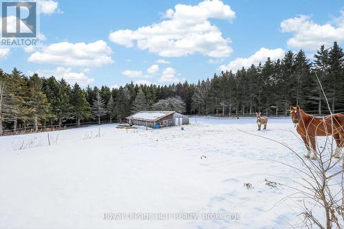 2553 County Road 42, Clearview, ON - Outdoor With View