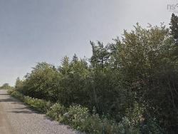 25 Acres Lake Road  Tatamagouche, NS B6L 1G5