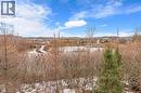 67 Maitland Street, Kitchener, ON  - Outdoor With View 