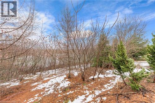 67 Maitland Street, Kitchener, ON - Outdoor With View