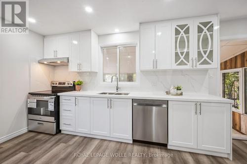 179 Traynor Avenue, Kitchener, ON - Indoor Photo Showing Kitchen With Double Sink With Upgraded Kitchen