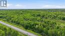 0 County Road 17 Highway, Champlain, ON 
