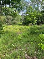 0 PT LT 14 CON 3  Rideau Lakes, ON K0G 1X0