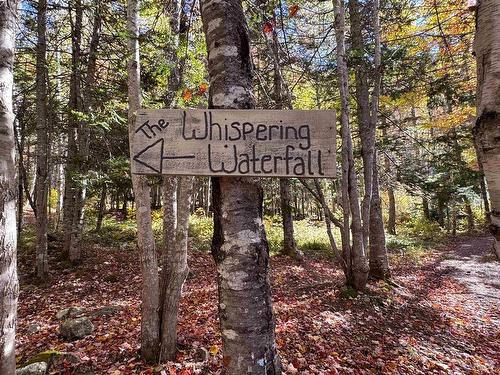 47403 Cabot Trail, Tarbotvale, NS 