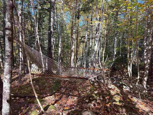 47403 Cabot Trail, Tarbotvale, NS 