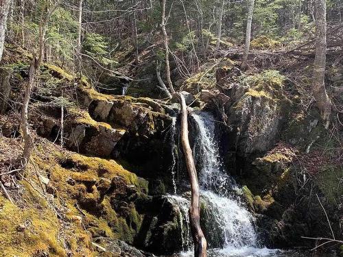 47403 Cabot Trail, Tarbotvale, NS 