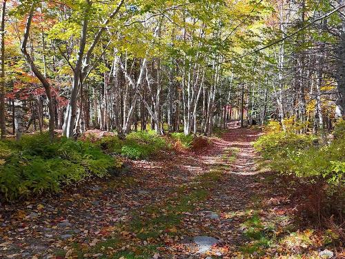 47403 Cabot Trail, Tarbotvale, NS 