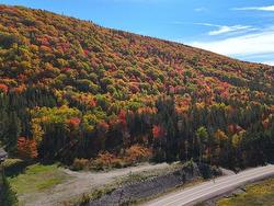 47403 Cabot Trail  Tarbotvale, NS B0E 1B0