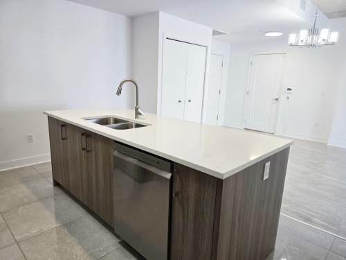 Cuisine - 609-248 Boul. Hymus, Pointe-Claire, QC - Indoor Photo Showing Kitchen With Double Sink
