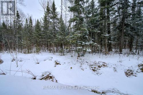 Over 1/2 an Acre of rear wooded yard (owned). - 397 Silver Birch Drive, Tiny, ON - Outdoor With View