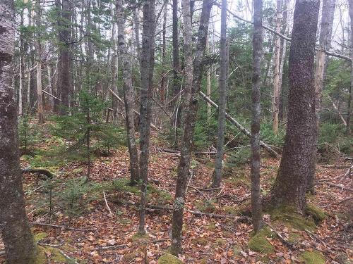 Lot Maxwellton Road, Meteghan River, NS 