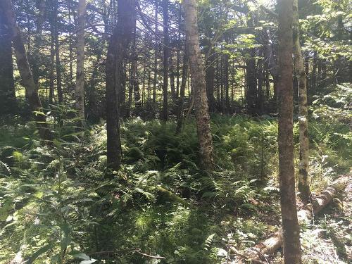 Lot Maxwellton Road, Meteghan River, NS 