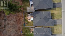 Spring 2025 - 
