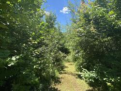 850 Gospel Road West Glenmont, NS B0P 1H0