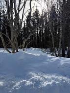 38 Spruce Grove Road  Parson's Pond, NL A0K 3Z0