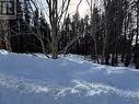 38 Spruce Grove Road, Parson'S Pond, NL 