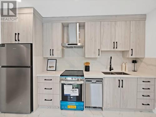 20 Hill Street, Hamilton, ON - Indoor Photo Showing Kitchen With Double Sink