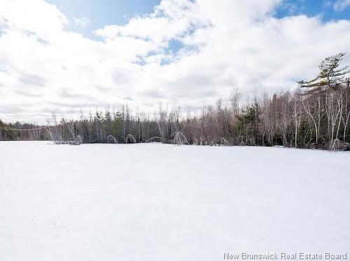 59 Emmanuel Rd, Collette, NB 