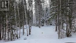 1272 URSA ROAD Highlands East (Glamorgan), ON K0M 1S0