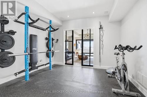 868 Danforth Place, Burlington, ON - Indoor Photo Showing Gym Room