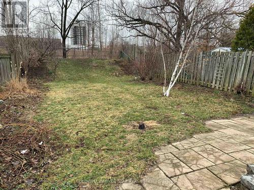 Large Fenced Yard - 27 Steele Street, St. Thomas, ON - Outdoor