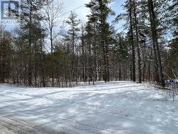 97 GREENLY ROAD  Trent Hills, ON K0K 3K0