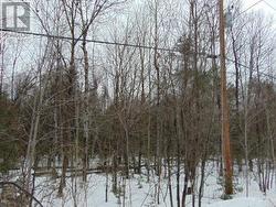 LOT 11 PLAN 580 NORTH DRIVE Dysart Et Al (Guilford), ON K0M 1S0