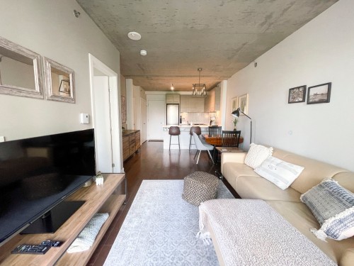 Living Room - 562-1414 Rue Chomedey, Montréal (Ville-Marie), QC - Indoor Photo Showing Living Room