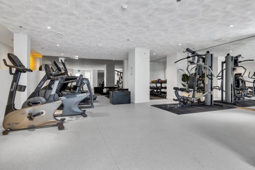 Exercise Room - 503-1160 Rue Mackay, Montréal (Ville-Marie), QC - Indoor Photo Showing Gym Room